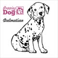 Dalmatian puppy sitting. Drawing by hand, sketch. Engraving style, black and white vector image.