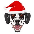 Illustration Dalmatian with red Santa hat