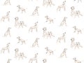 Dalmatian Seamless pattern white spotted fur, funny cartoon dalmatain dogs breed , pet background. Animal puppy design