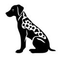 Dalmatian black icon on white background. Dalmatian silhouette