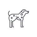 Dalmatian vector line icon, sign, illustration on background, editable strokes