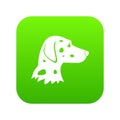 Dalmatians dog icon digital green