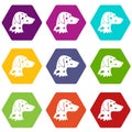 Dalmatians dog icon set color hexahedron