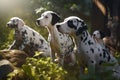 Dalmatians dogs garden. Generate Ai
