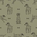 Dalmatians seamless pattern in hand-drawn style