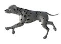 Dalmation - 05