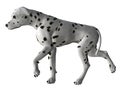 Dalmation - 06