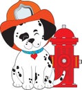Dalmation Fire Dog Royalty Free Stock Photo