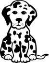 Dalmation Puppy