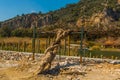 DALYAN, TURKEY: Rock-cut temple tombs of the ancient city Kaunos in Dalyan. Royalty Free Stock Photo