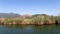 Dalyan river is populer tourist destination in Turkey. River hosts the caretta caretta and many birds and fishs