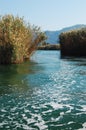 Dalyan river in Turkey