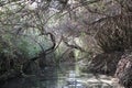 Dalyot Brook, Dalyot Nature Reserve Park, Israel