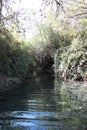 Dalyot Brook, Dalyot Nature Reserve Park, Israel