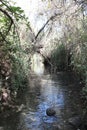 Dalyot Brook, Dalyot Nature Reserve Park, Israel