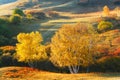 Dam Autumn in Inner Mongolia