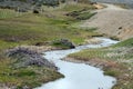 The dam , erected by beavers branches of the bushes , in the treeless part of Tierra del Fuego . Royalty Free Stock Photo