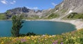 Dam lake lunersee and spring flowers, austira