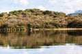 Dam Lake Vegetation Waters Colors Royalty Free Stock Photo