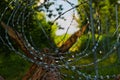 Razor wire, rolled into a roll and mounted on a wooden structure . Royalty Free Stock Photo