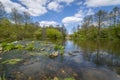 Spring on the banks of the Warta River, Poland. Royalty Free Stock Photo
