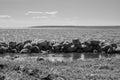 Dam from stones. dyke made from natural materials. pile of rocks in water