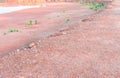 Dam water dry of summer and edge stone textures orange floor soil orange land in nature background with copy space Royalty Free Stock Photo