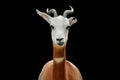 Dama gazelle, addra gazelle, or mhorr gazelle, Nanger dama, detail portrait with horn. Animal from Africa. Close-up portrait of fa