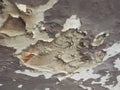 damp moisture on wall and ceiling Royalty Free Stock Photo