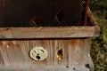 Damage hive woodpecker bird pecking at the wall of a wooden hive made of planks. a hungry bird has no food in winter and hears bee