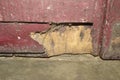 Damage Wooden door & Damage color . .