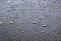 Damaged asphalt road with potholes, filled with water with ice, Royalty Free Stock Photo