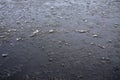 Damaged asphalt road with potholes, filled with water with ice, Royalty Free Stock Photo