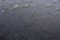 Damaged asphalt road with potholes, filled with water with ice, Royalty Free Stock Photo