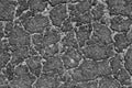 Damaged asphalt surface in black and white Royalty Free Stock Photo