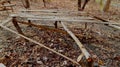 Damaged bamboo benches in the middle of the forest