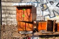 Damaged bee hive hidden in a park in winter sunny day.