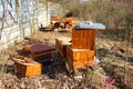 Damaged bee hive hidden in a park in winter sunny day.