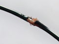 Damaged black electric cord on white background. Dangerous broken electrical cable