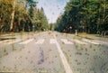 Damaged and blurry photo of road through the forest.  Stains and scratches Royalty Free Stock Photo