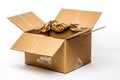 Damaged Box Isolated, Craft Paper Delivery Package, Broken Carton Packaging, Crumpled Cardboard Box Royalty Free Stock Photo