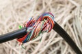 The damaged cable is entangled in a large tangle. Broken isolation communication line. Problem concept with internet connection. Royalty Free Stock Photo