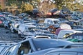 Damaged cars lined up.