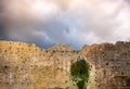 Damaged castle wall background ruins sky backdrop storm clouds windows ivy plant flowers copyspace Royalty Free Stock Photo