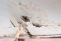 Damaged ceiling caused