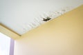 Damaged ceiling from water leak Royalty Free Stock Photo