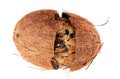Damaged Coconut Isolated on White Royalty Free Stock Photo