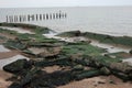 Damaged concrete sea defences Royalty Free Stock Photo