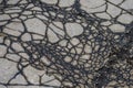 Damaged cracked asphalt