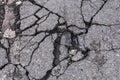 Damaged cracked asphalt
